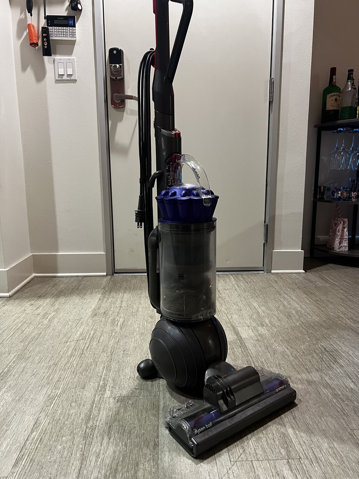 Dyson Ball Animal+ Vacuum Cleaner