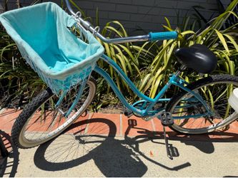 Beach cruiser