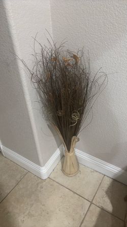 Two Corner plants