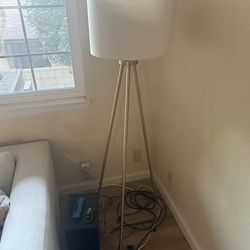 2 house lamps pick up only