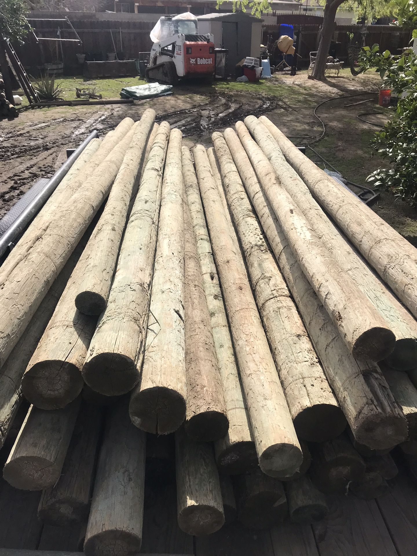 16 Feet Treated Poles