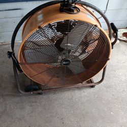 Shop Fan 
