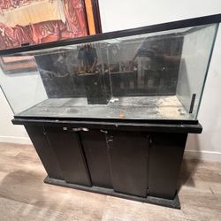 50 Gallon Fish Tank