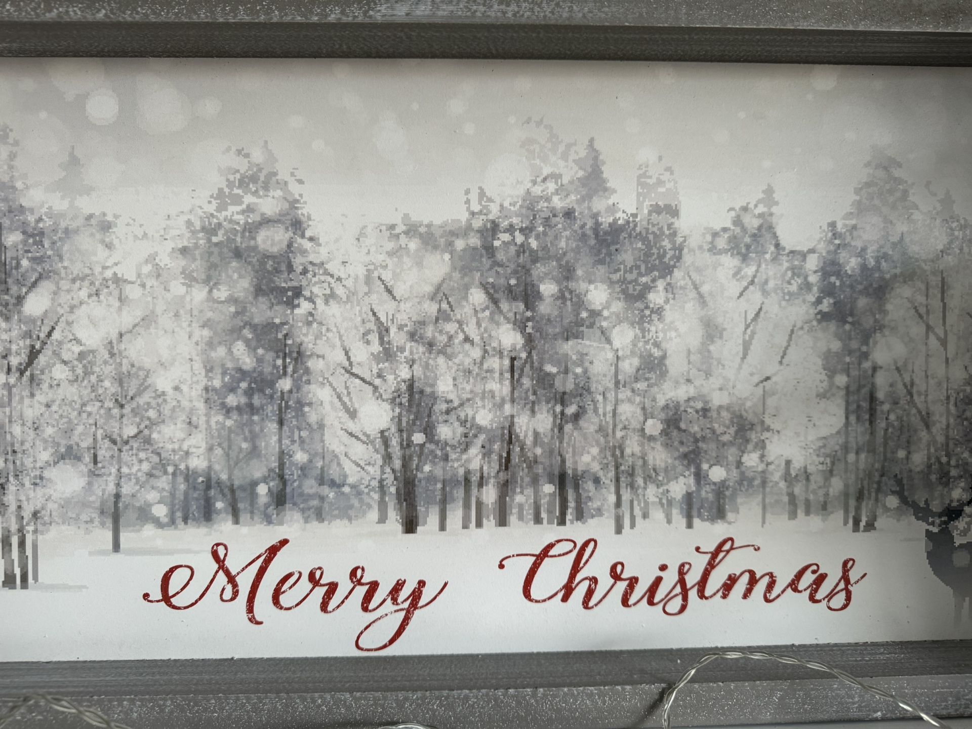 Merry Christmas Picture