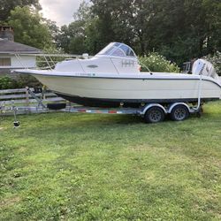 Sea Fox Boat