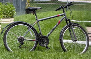 Men’s Roadmaster Bicycle
