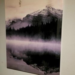 Miscellaneous Wall Decor, Shelves, Frames, Etc.