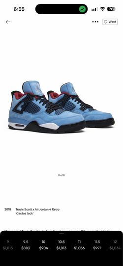 Jordan 4 ts