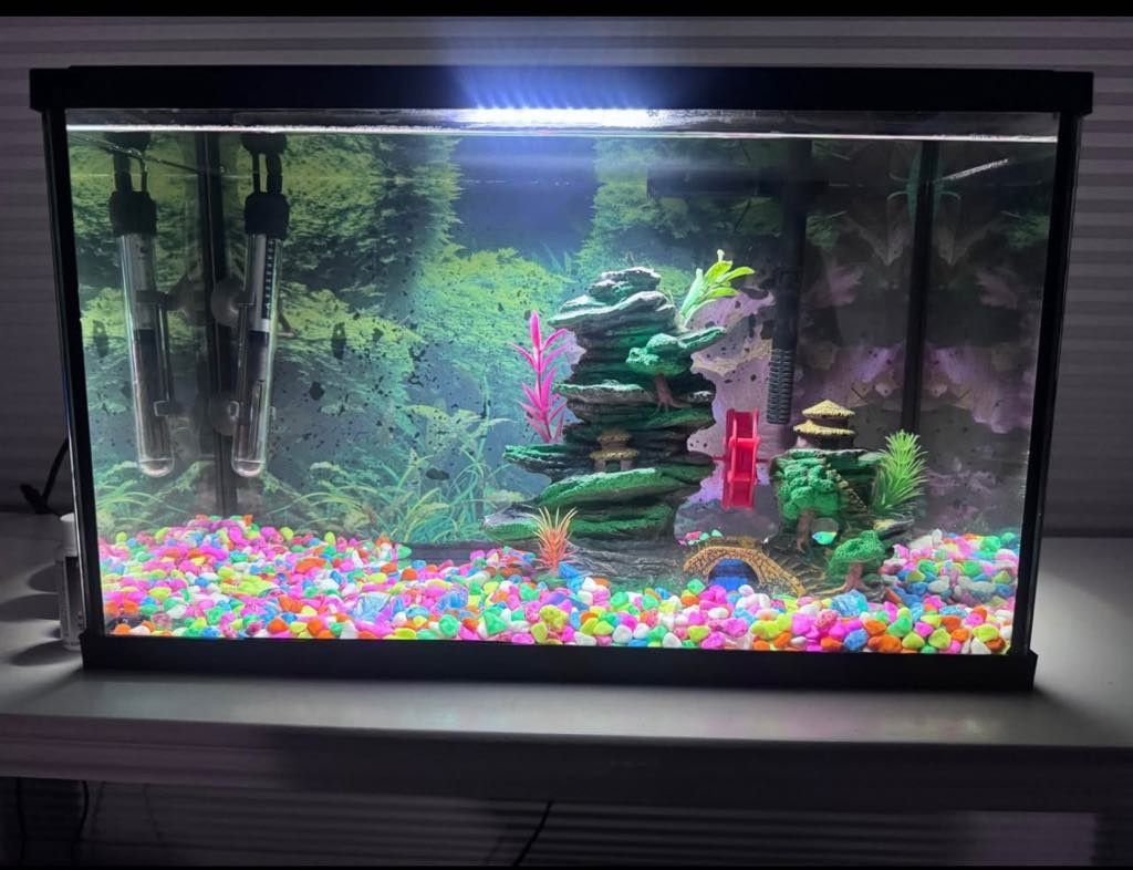 10 Gln Fish Tank