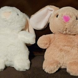 Stuffed Bunnies 🐰 
