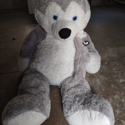 Teddy Bear 🧸 Big Size 