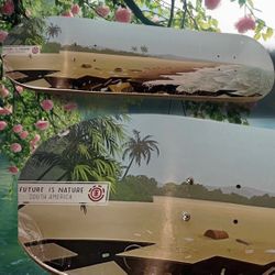 Element Skateboard Deck “Future Is Nature - South Africa”