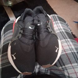 Pumas