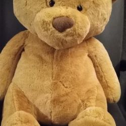 Big 🧸 Teddy Bear