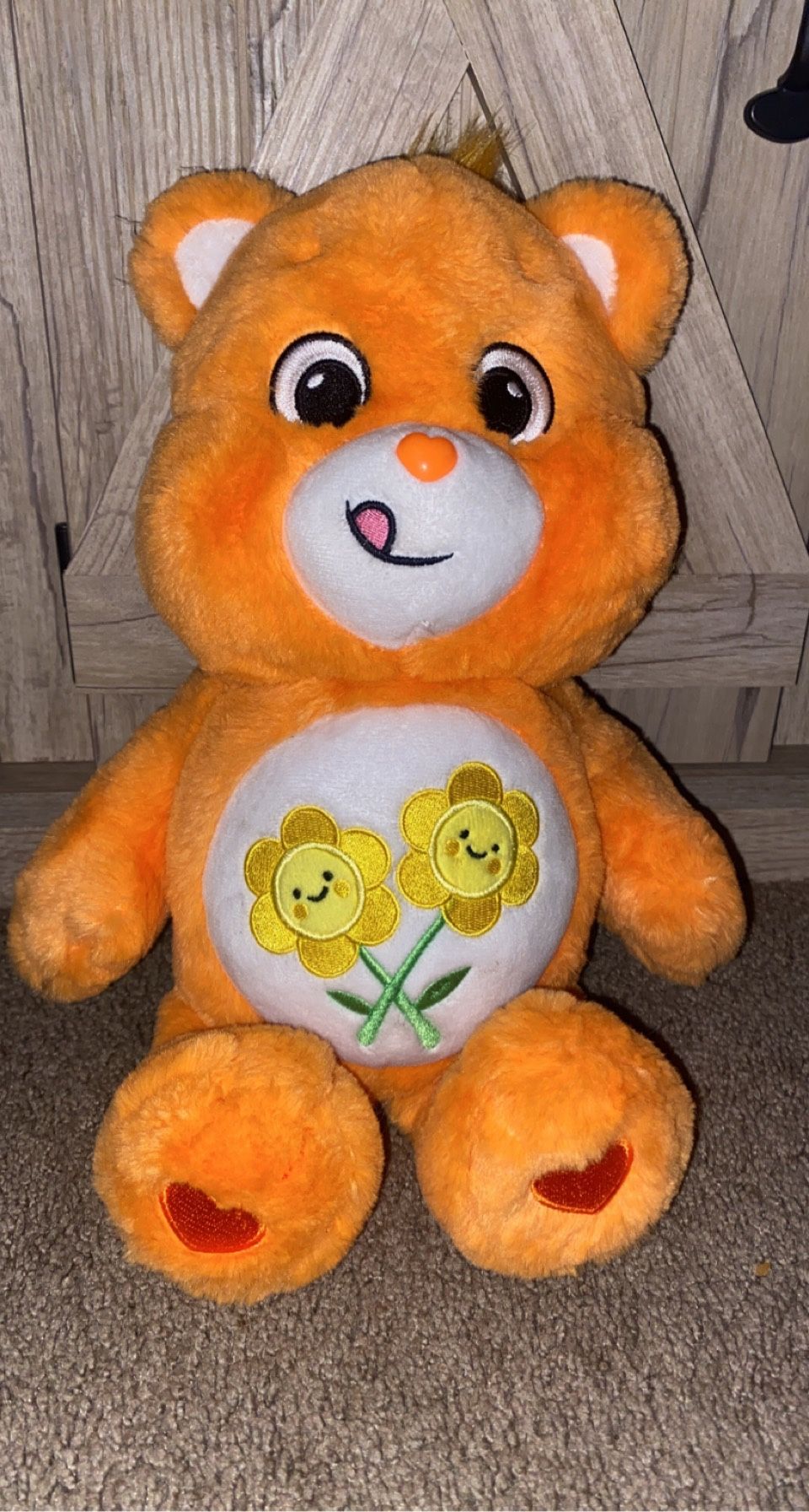 Friend Bear Carebear