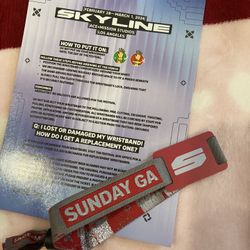 Skyline Sunday Ticket 