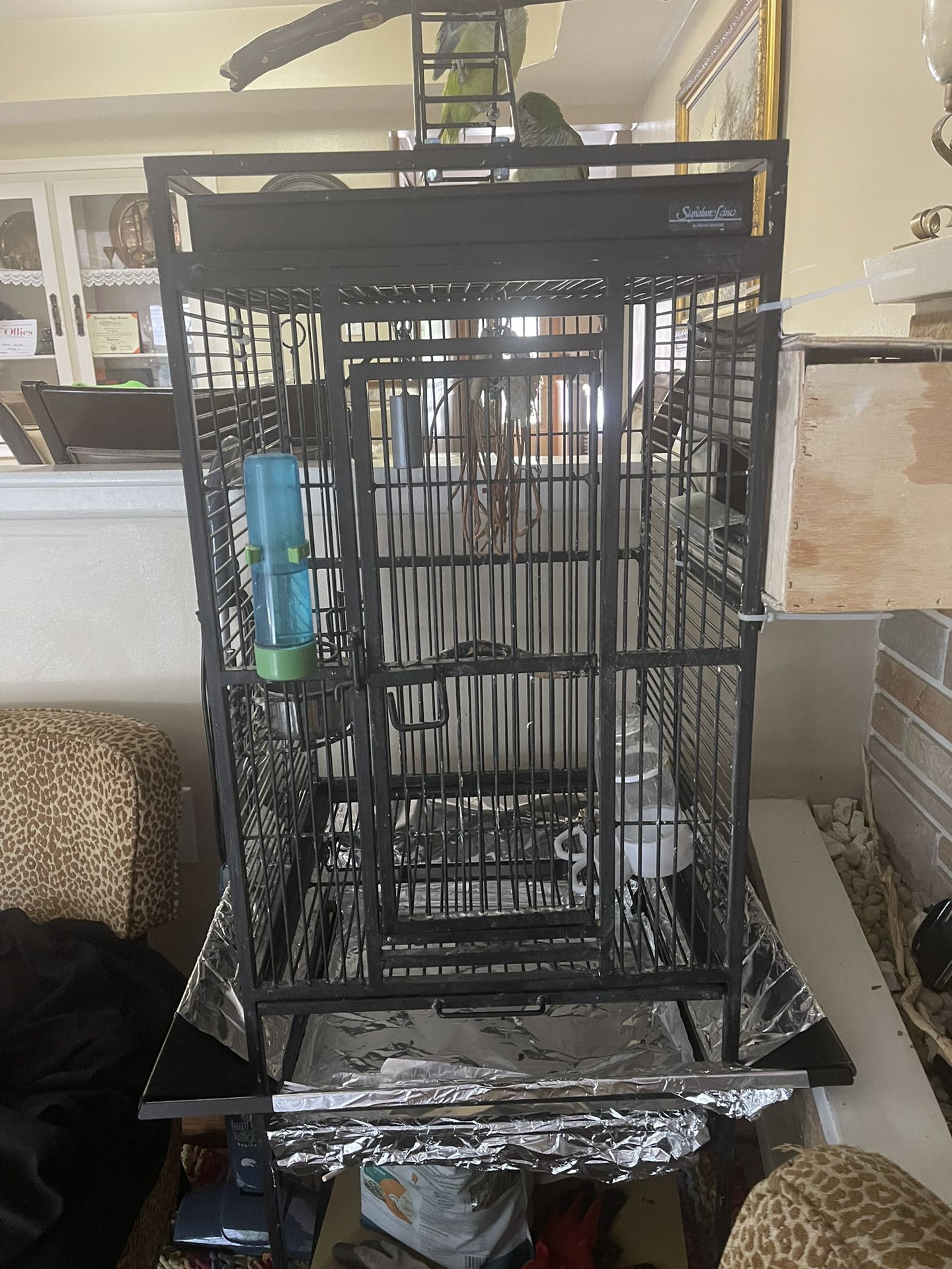Cage For Birds