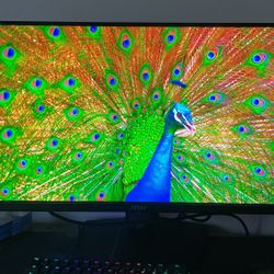 Msi Glossy Oled 360Hrtz Monitor
