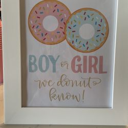 Donut Gender Reveal Frame