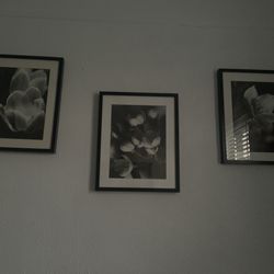 Set of 3 Framed Black and White Floral Wall Art