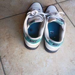 Nike dunk low size 10