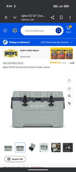 Igloo Cooler 50qt