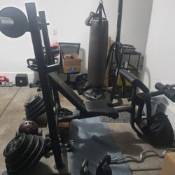 Punching Bag, Weights And Bench