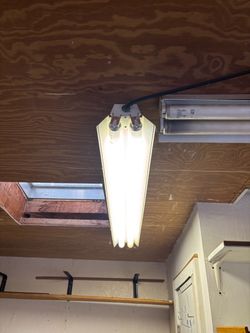Fluorescent Lights