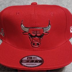 Chicago Bulls Hat Cap Snapback 9FIFTY New Jordan Pippen Rodman