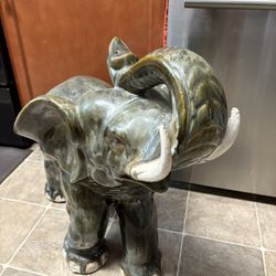 Beautiful  Elephant