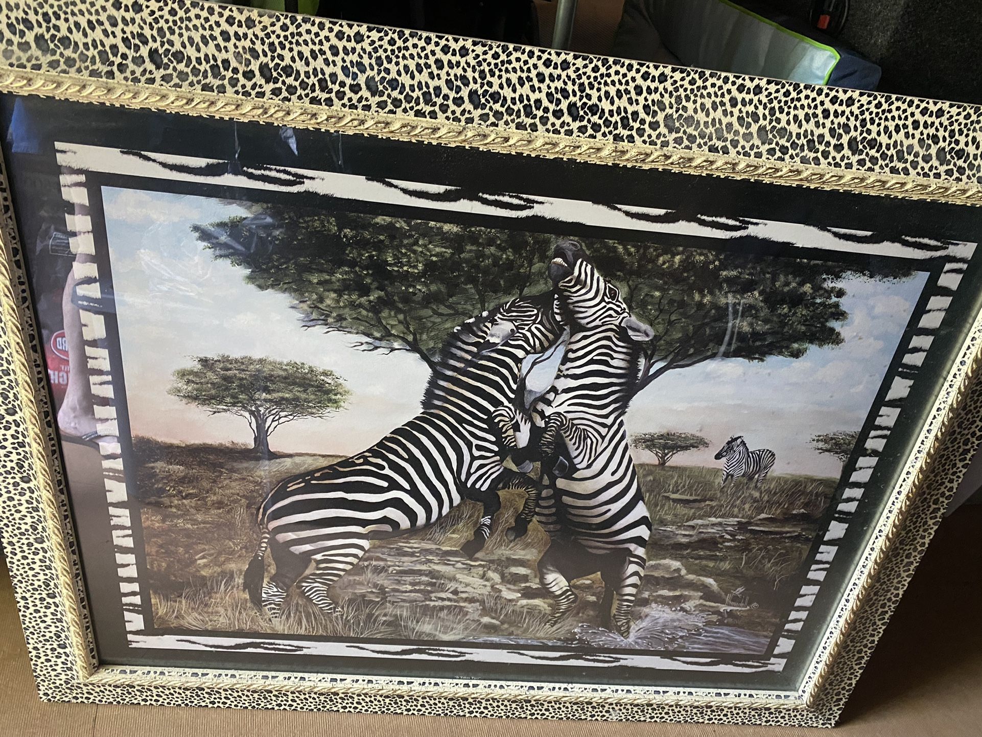Zebra Picture