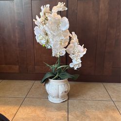 Artificial Orchid In Distressed Style Ceramic Pot. 