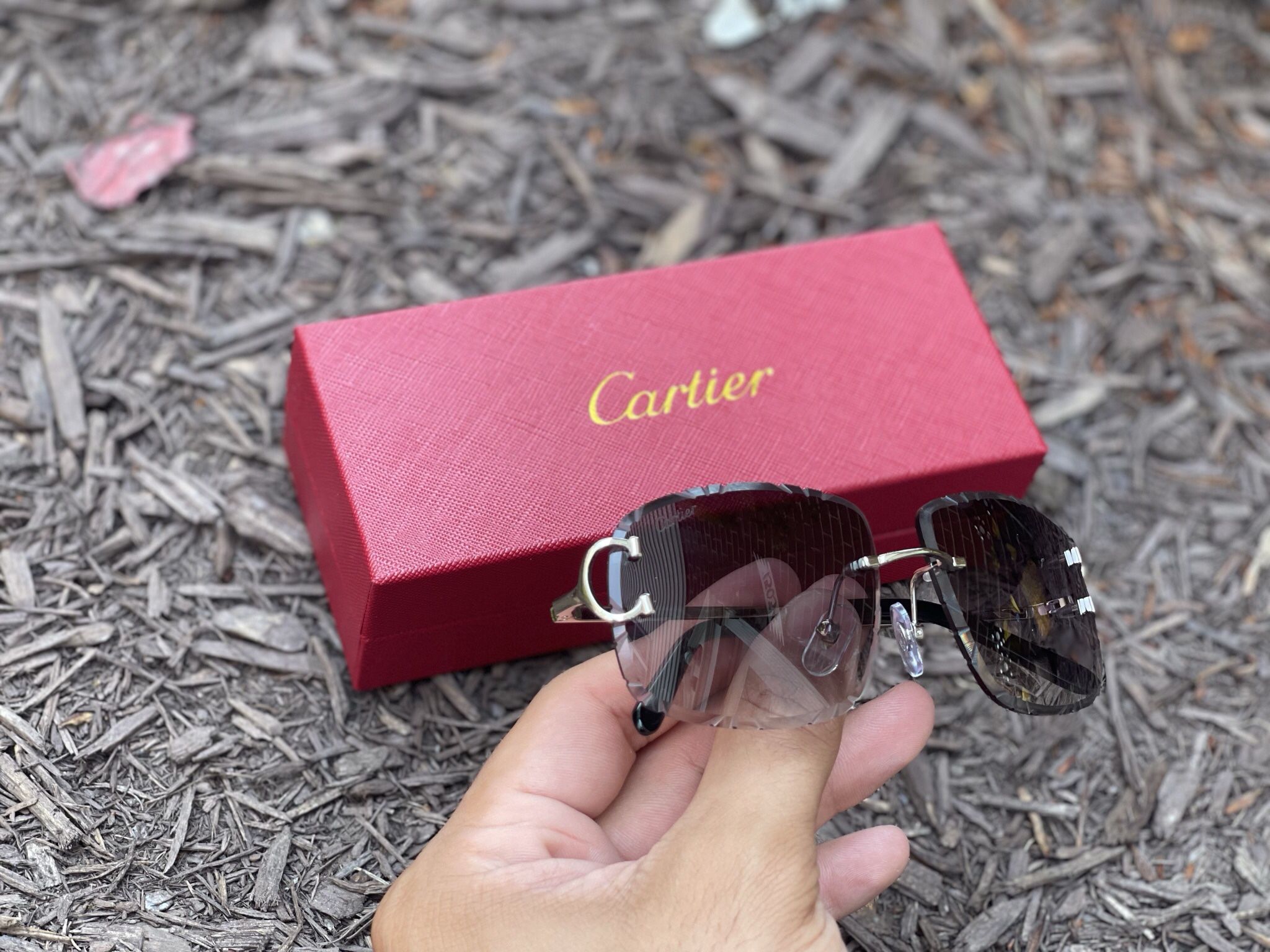 Cartier Glasses