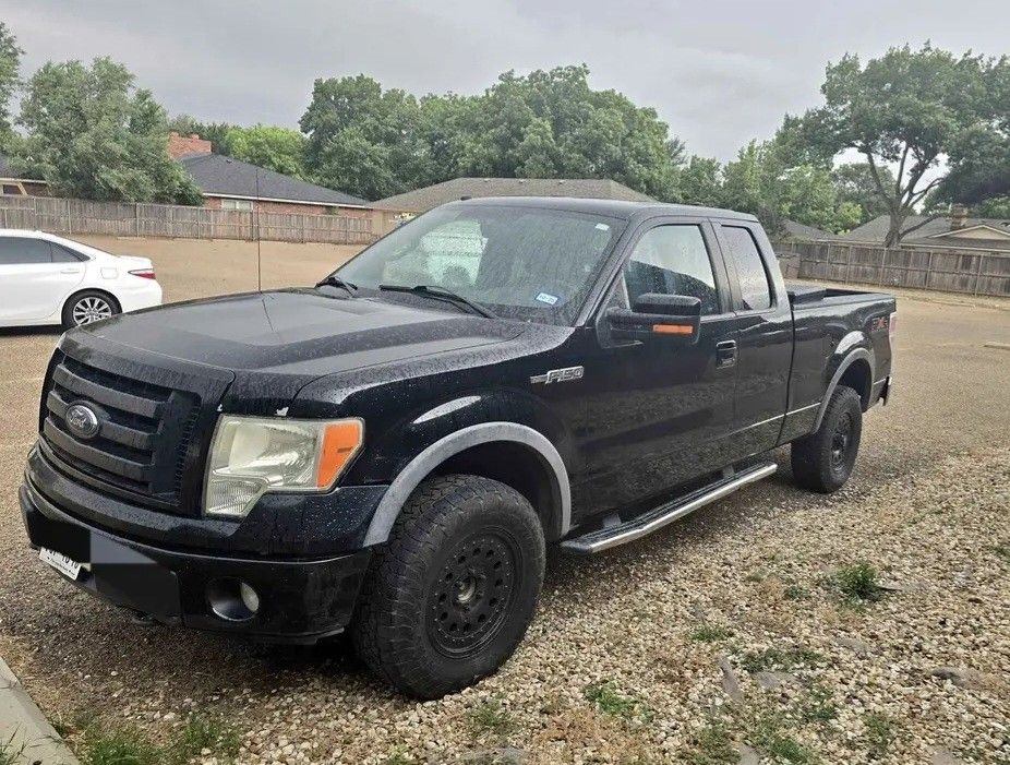 2009 Ford F-150