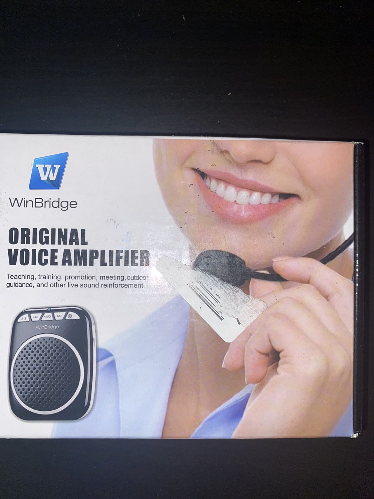 Voice Amplifier