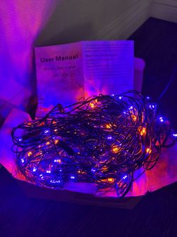 200 LED Net String Lights