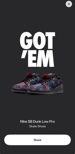 Sb Dunk Nike