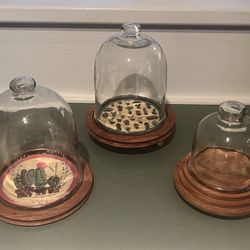 Glass & Wood Cloche’s Home Decor, Plants. Party, Catering, Desserts, Holiday