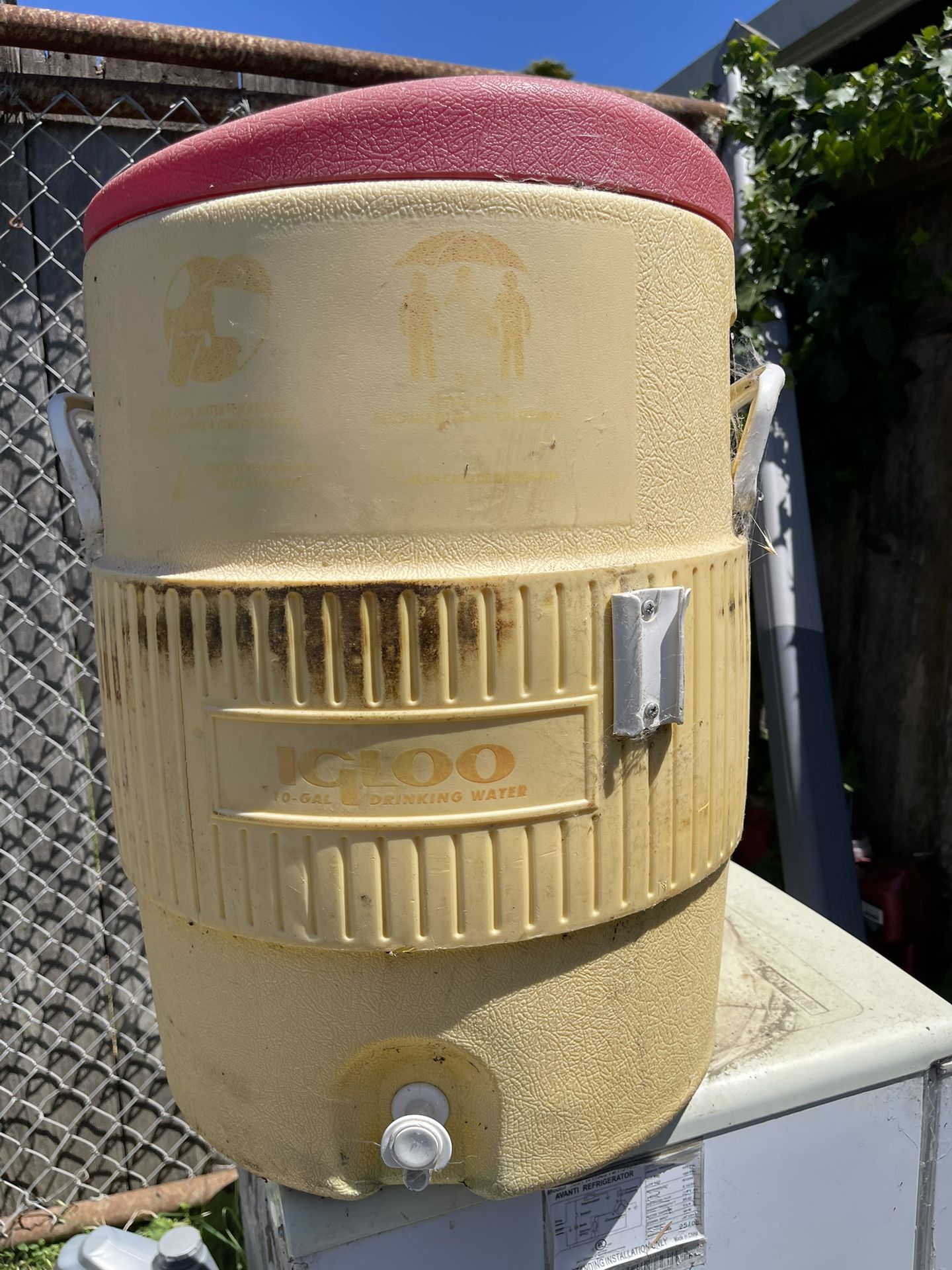 Igloo Water Container