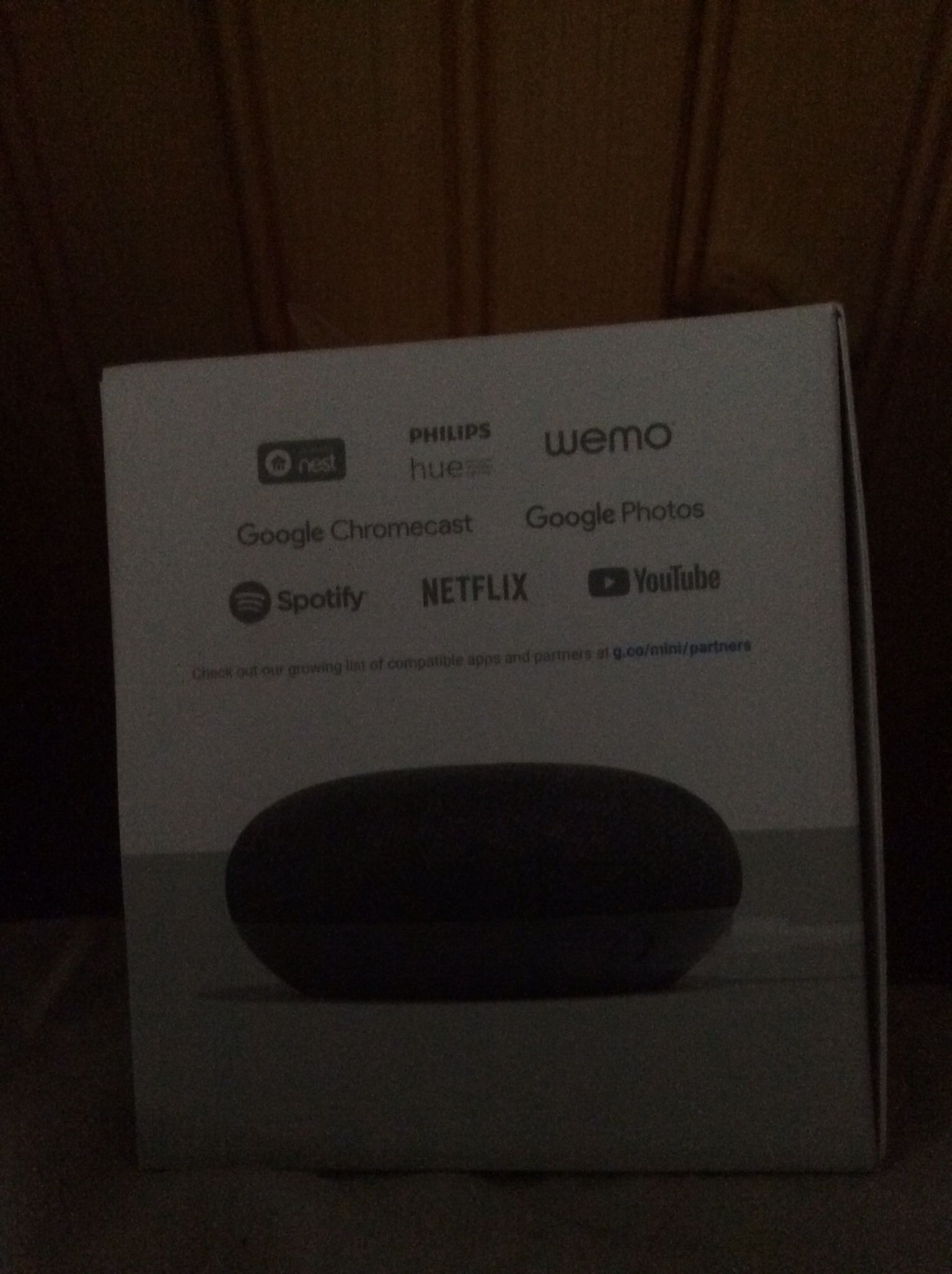 Google Home Mini Speaker