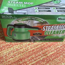 Steam Cleaner 