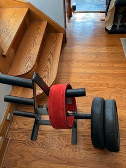 45 lb plates (2 Bumper), lifting belt, weight tree (exercise fitness equipment lot)