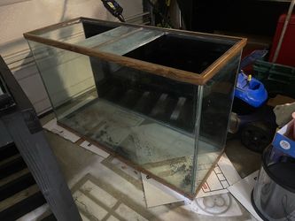 110 gallon fish tank