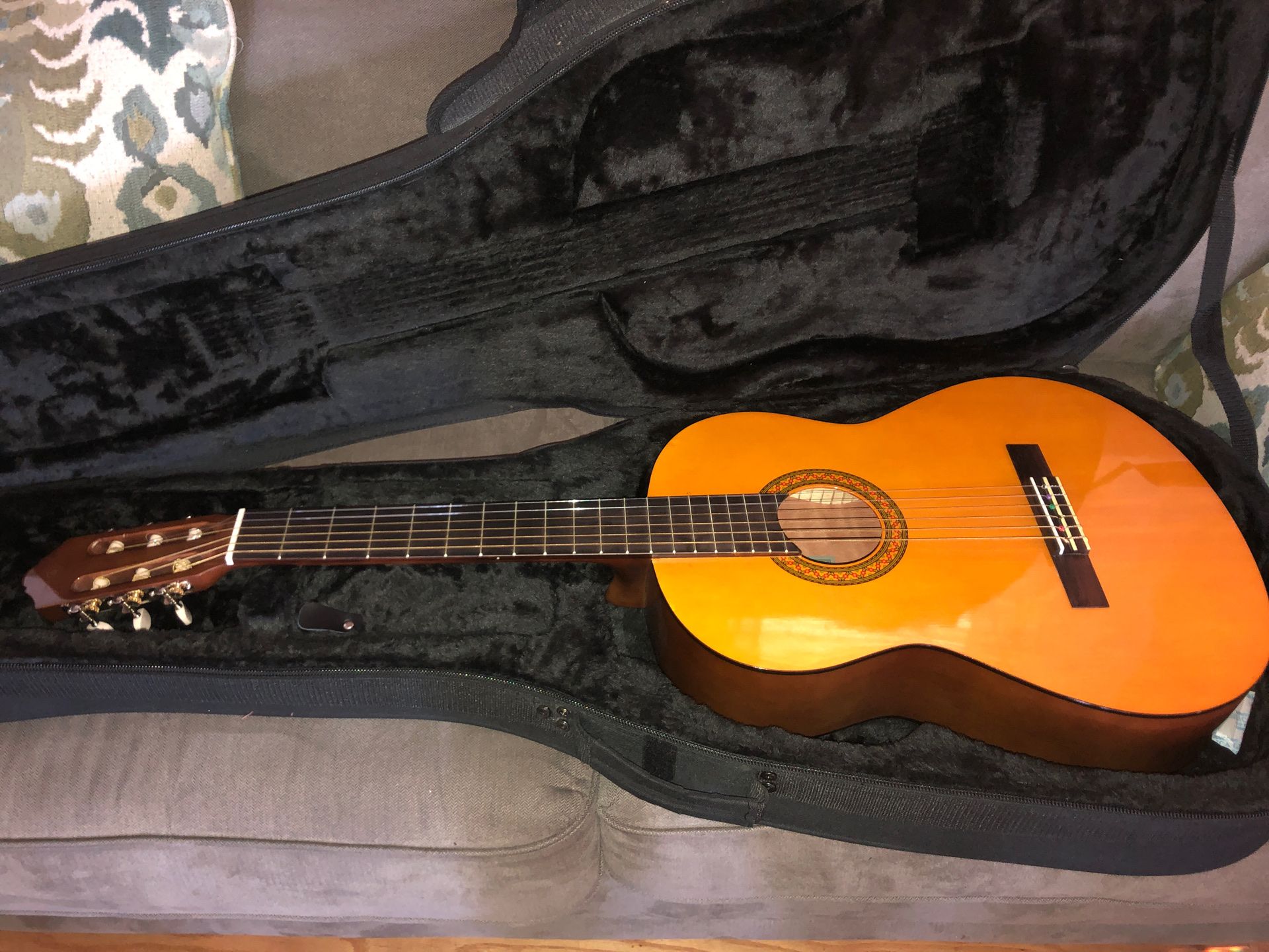 Yamaha Guitar with Gator Case