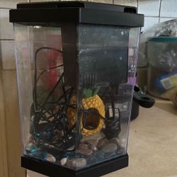 Fish Tank