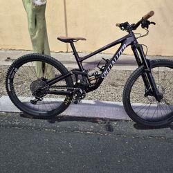 2022 specialized Enduro Expert