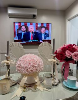 Insignia 65” TV
