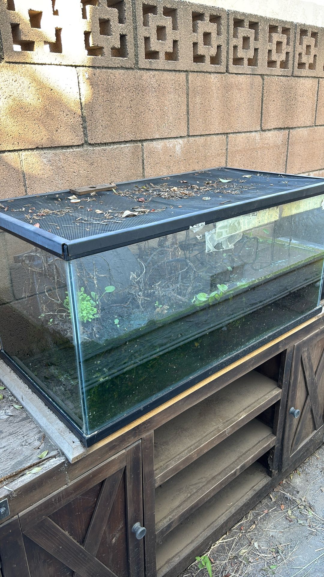 Reptile Tank