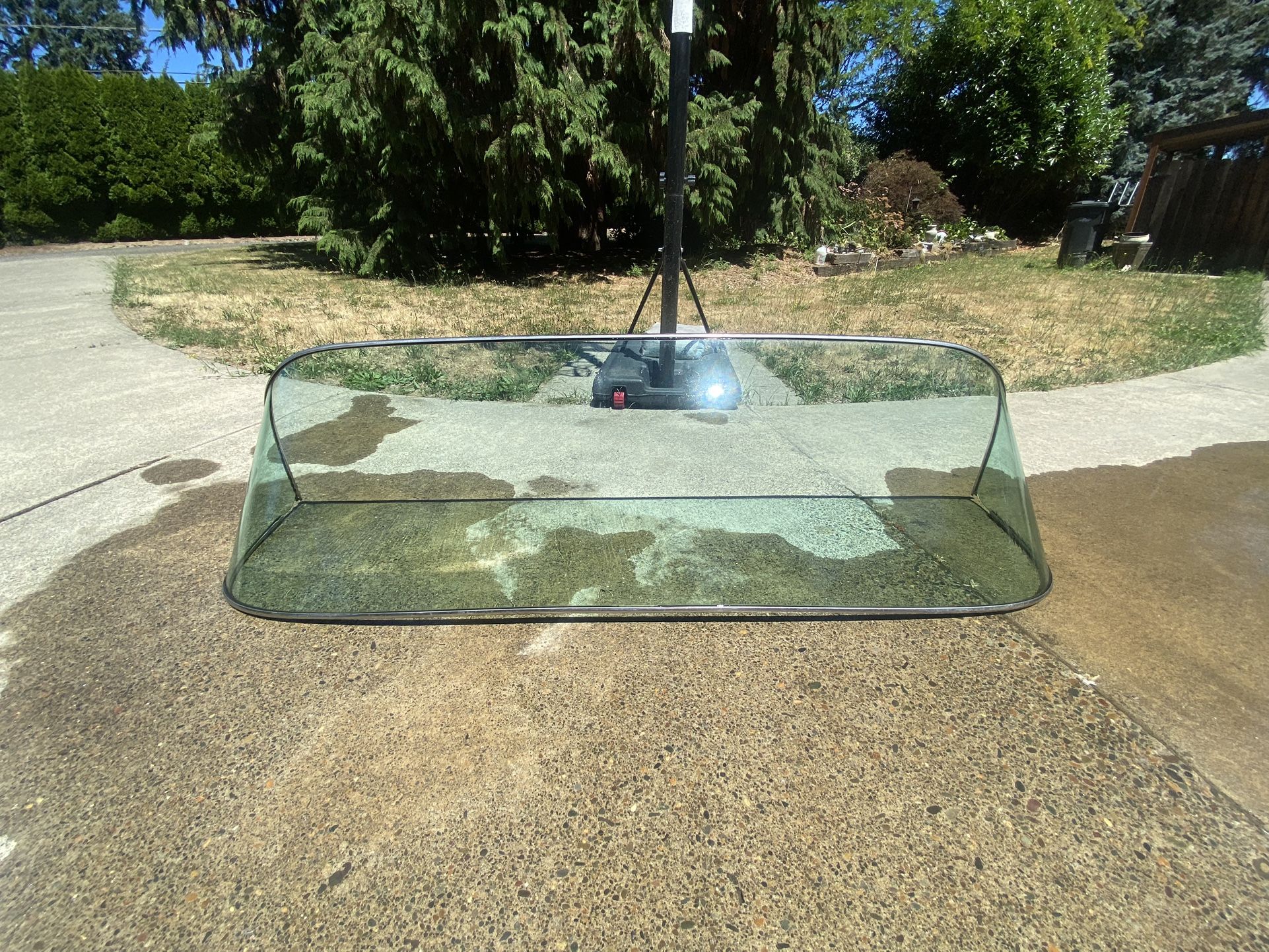 Seed Boat Glass