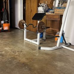 Preacher Bench & Curling Bar With 50lbs